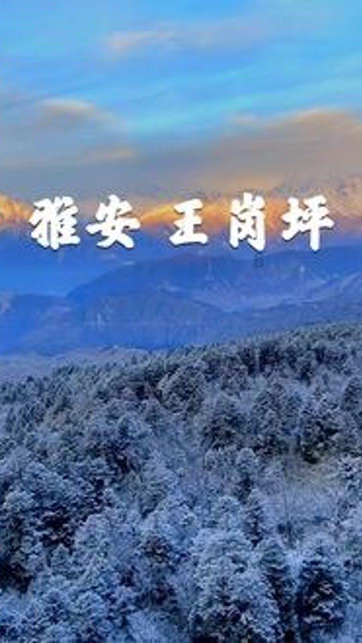 以撒的结合：胎衣