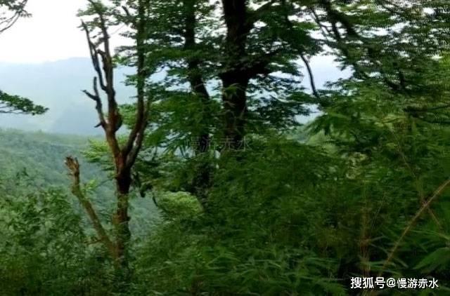 哪种男人是你的坚强后盾