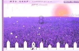 探店全新天籁:旧车置换抵6万,以真心换真情