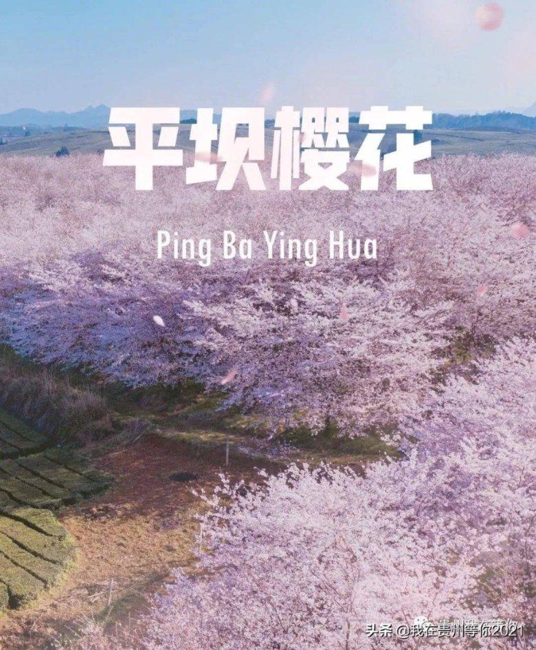 28岁自考本科晚吗？游戏画面