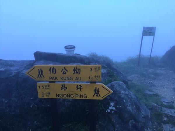 逃离龙的圣地