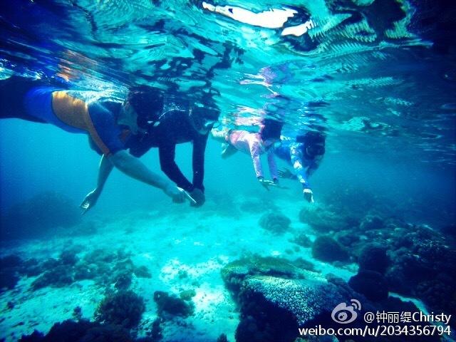 这个可以机豆浆吗，水和黄豆的比例呢游戏画面