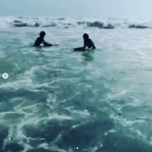 诱捕小浣熊