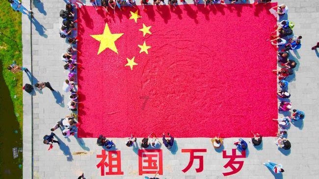 原始丛林找星星