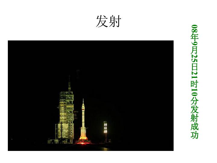救援大嘴鸟