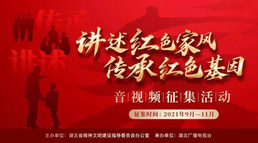 可爱猫咪救援
