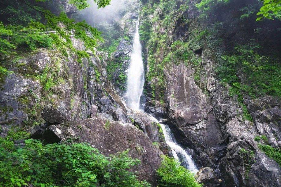 崩坏3