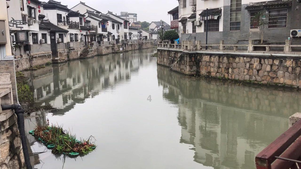 时尚小鸡救援