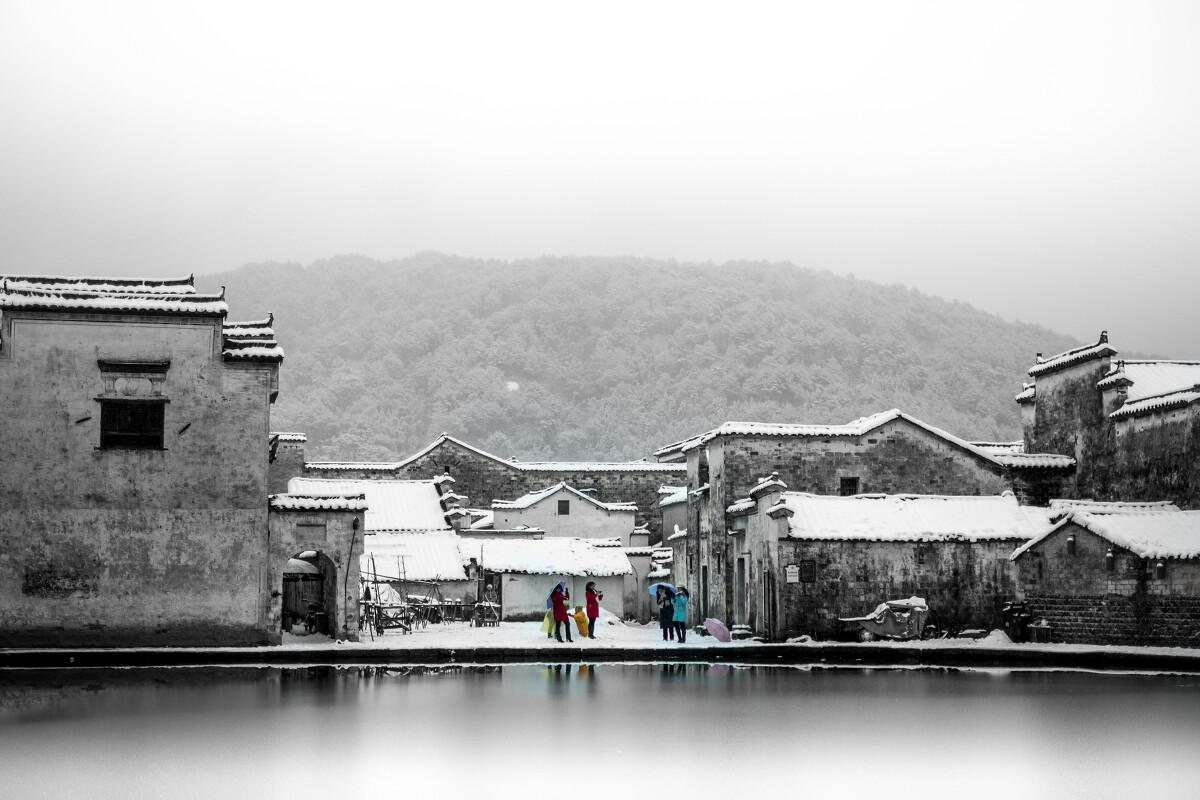 拯救小萌虎