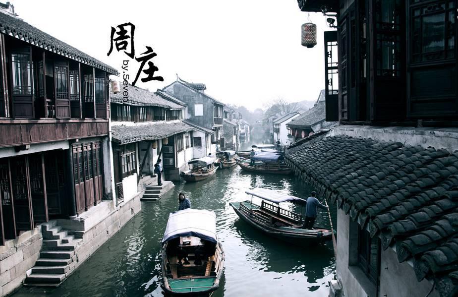 太原动物园回应一只马鹿受伤死亡：与其它鹿打架受外伤 治疗期间反复感染